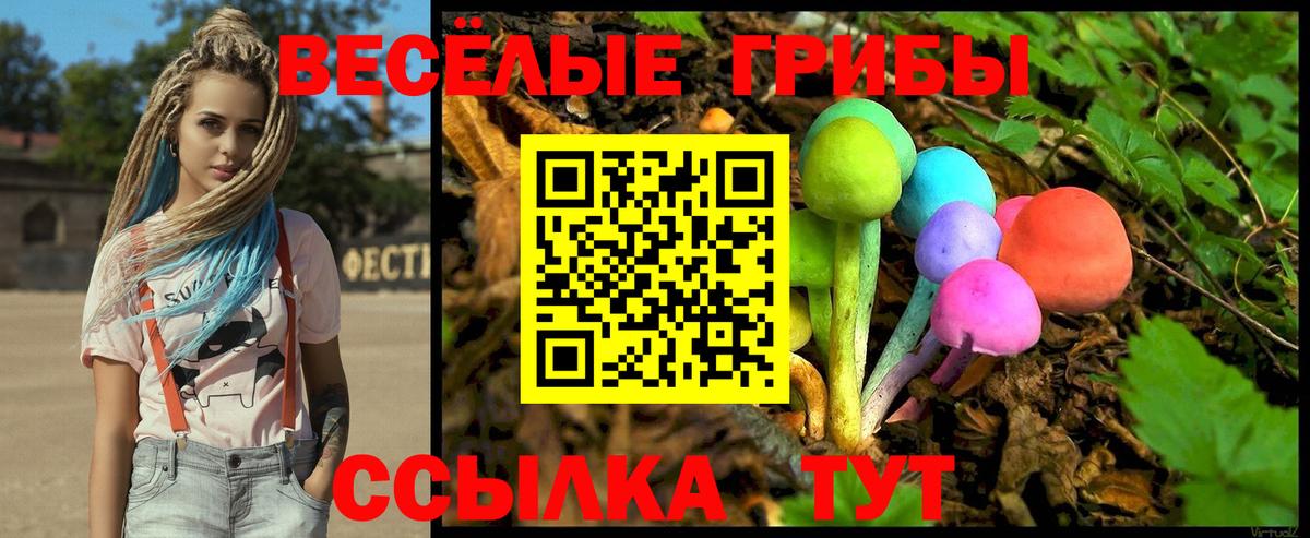 Галлюциногенные грибы Cubensis  Вход с VPN  Ржев 